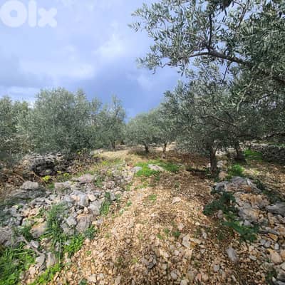 GMB151GM Land For Sale In Rihane Jeddayel أرض للبيع في ريحان - جدايل -