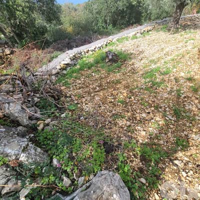 GMB151GM Land For Sale In Rihane Jeddayel أرض للبيع في ريحان - جدايل -