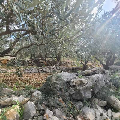GMB151GM Land For Sale In Rihane Jeddayel أرض للبيع في ريحان - جدايل -