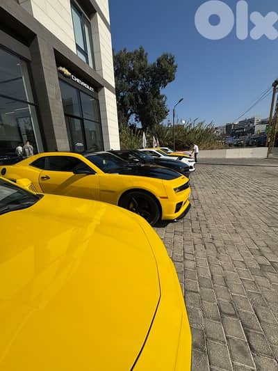 Chevrolet Camaro 2010 bumbelbee edition