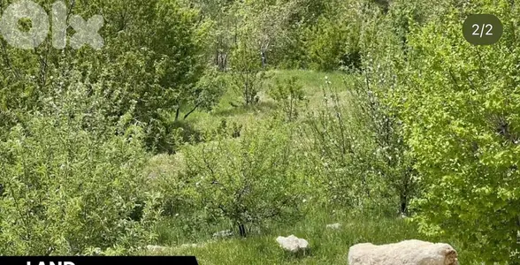 Land in Ain El Delbe Wata al Joz ارض للبيع في عين الدلبة وطى الجوز