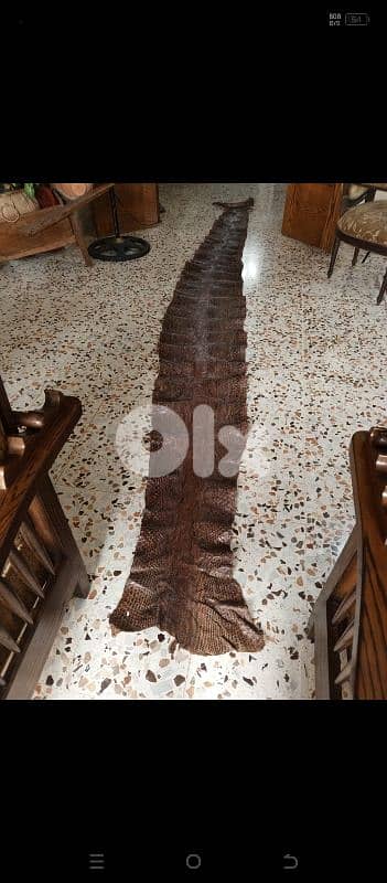 anaconda 410 meters the biggest and huge size still new 0