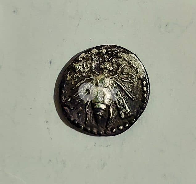 Ancient Phoenicia  Silver Coin of the Bee Arados mint year 172_161 BC 0