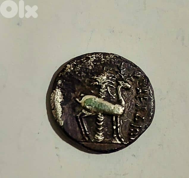 Ancient Phoenicia  Silver Coin of the Bee Arados mint year 172_161 BC 1