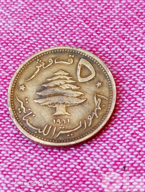 زلقا المتن 0