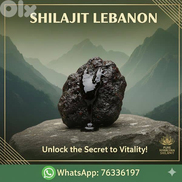 20 Amazing Benefits of Shilajit  Shilajit Lebanon 0