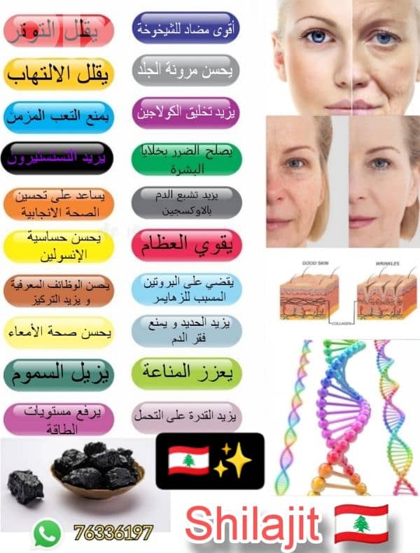 20 Amazing Benefits of Shilajit  Shilajit Lebanon 1