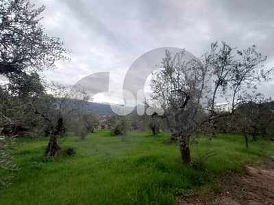 Prime Land for Sale in Besebhel – Zgharta /بسبعل – زغرتا REF#TN132278