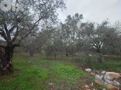 Prime Land for Sale in Besebhel – Zgharta /بسبعل – زغرتا REF#TN132278