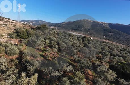 LAND/ Zgharta/زغرتا! REF#YN132295 !