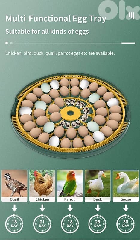 52H Home Egg Incubator – 52 Chicken / Duck Eggs (Pet Use) 1