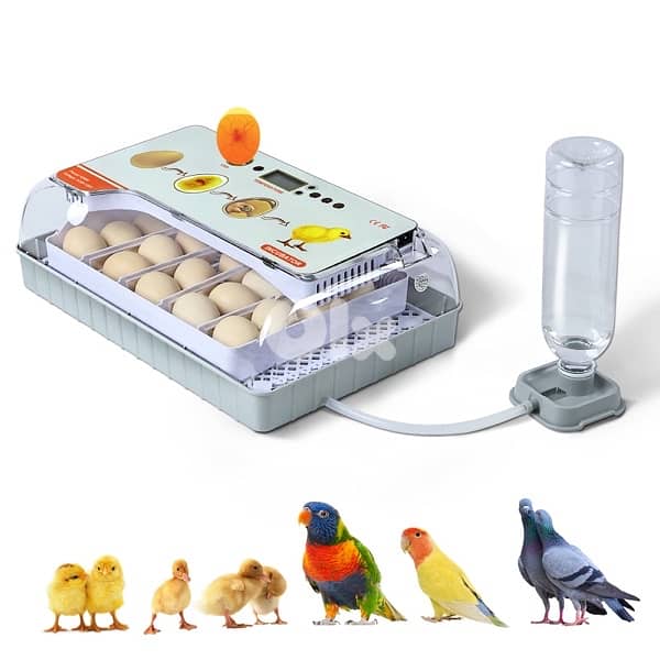20 Home Egg Incubator – 20 Chicken / Duck Eggs (Pet Use) 3