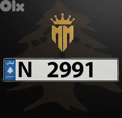 N 2991 N 2991