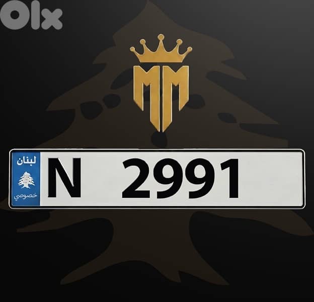 N 2991 0