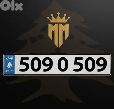 A 509 0 509