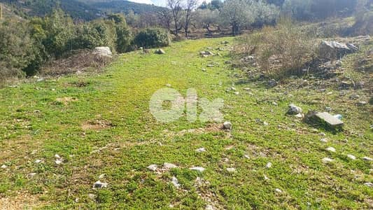 lands for sale in Assia أرض رائعة ببلدة أسيا lands for sale in Assia أرض رائعة ببلدة أسيا