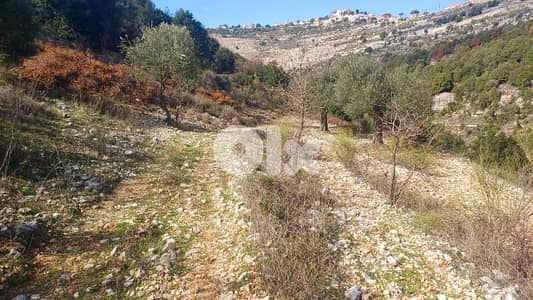 lands for sale in Assia أرض رائعة ببلدة أسيا lands for sale in Assia أرض رائعة ببلدة أسيا