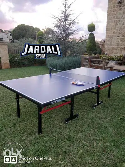 Ping pong table