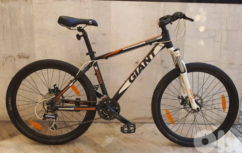 Giant Rincon disc 0