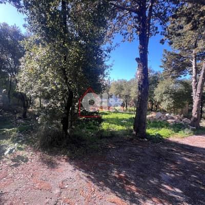 Land for sale in zebdine أرض للبيع في زبدين