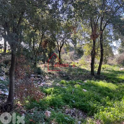 Land for sale in zebdine أرض للبيع في زبدين