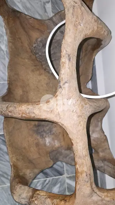 حالات