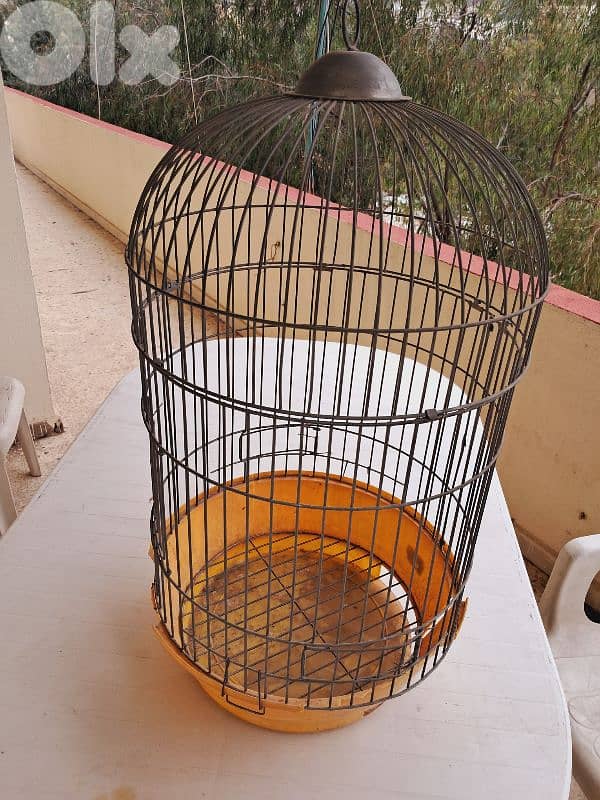 مدلل الطيور 4
