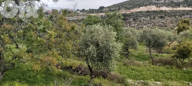 Land for sale in Helta-Batroun أرض للبيع في حلتا، البترون