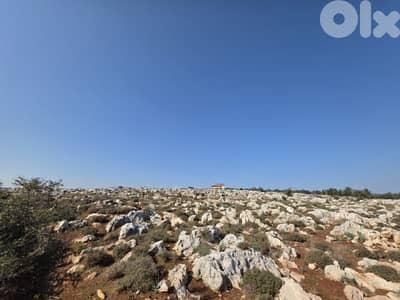RWB184CC - Land for sale in Nakhleh Koura