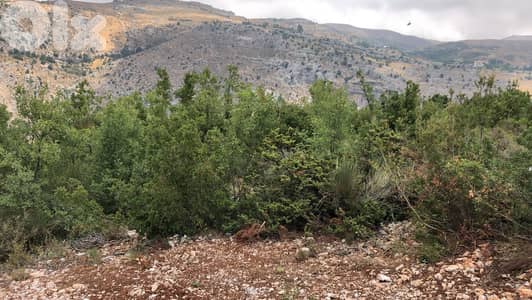 Land for Sale in Tarchich – 700 sqm أرض للبيع في ترشيش