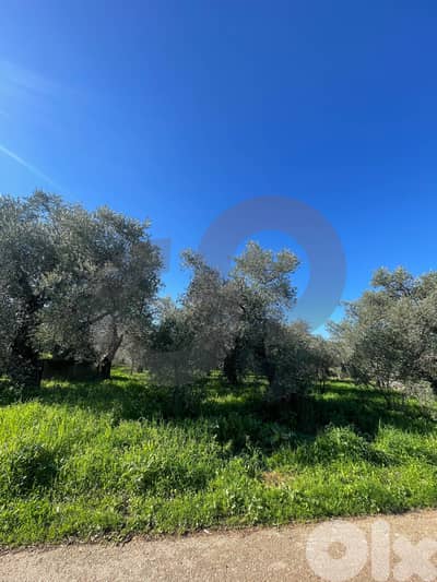 main road frontage, prime location,Zgharta,rashiine/رشعين REF#YN132457