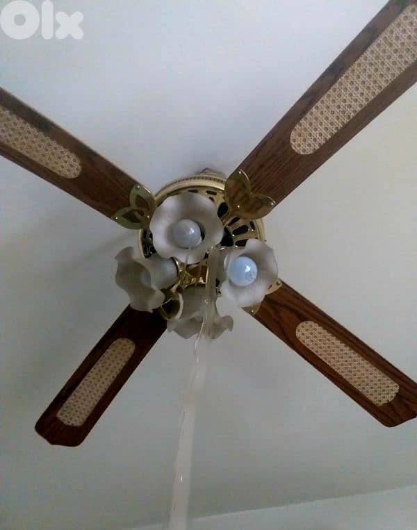Lamp Fan Ventilator 0