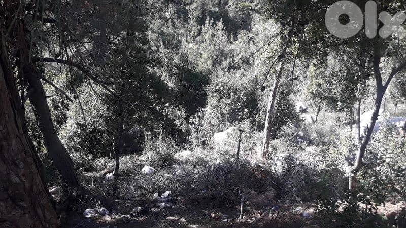land for sale in baabdat Shalimar   أرض للبيع في بعبدات شاليمار 0
