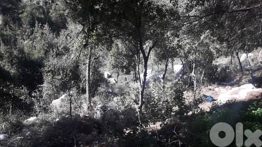 land for sale in baabdat Shalimar   أرض للبيع في بعبدات شاليمار
