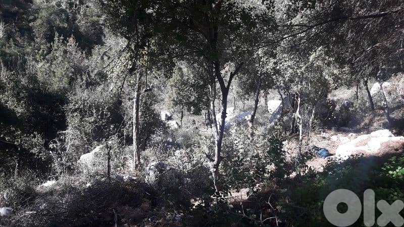 land for sale in baabdat Shalimar   أرض للبيع في بعبدات شاليمار 1