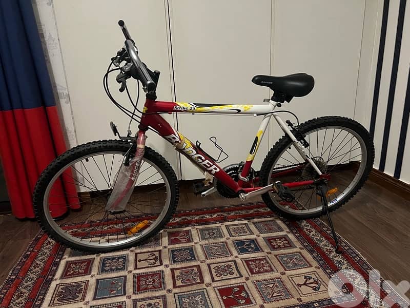 Bicycle, Badger Strike 24 2