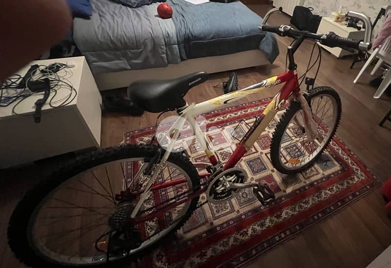 Bicycle, Badger Strike 24 3