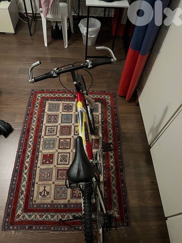 Bicycle, Badger Strike 24 4
