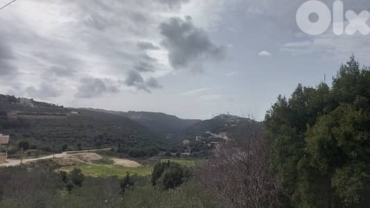 land for rent !!