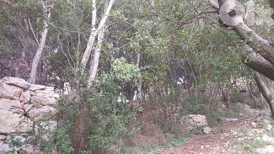 land for rent !!