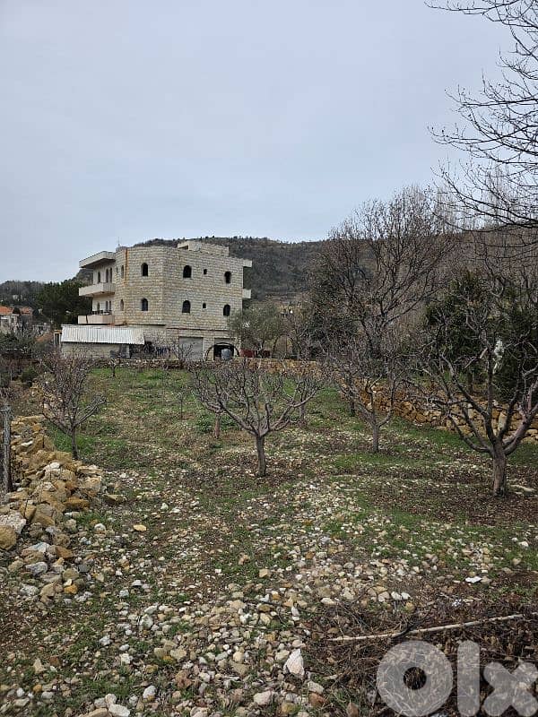 Land for sale in Mghaira, Jbeil. 2