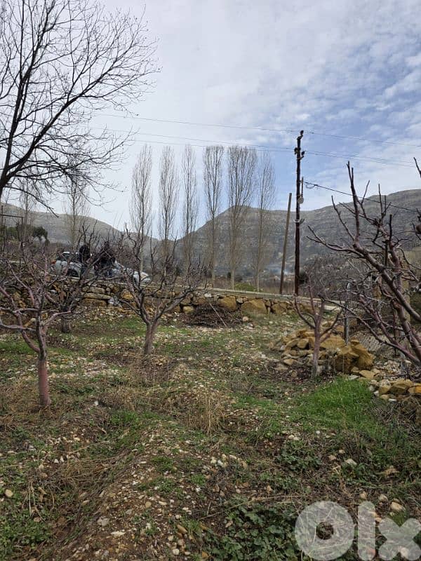 Land for sale in Mghaira, Jbeil. 3