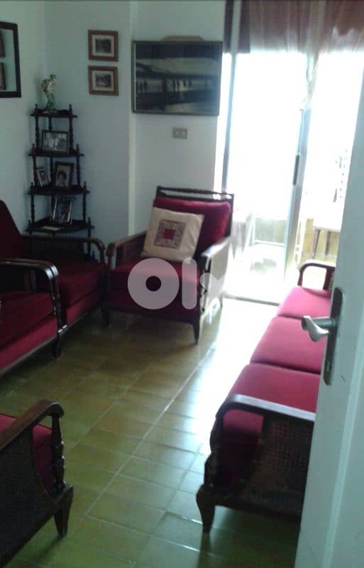 Rare Style Living Room Set 0