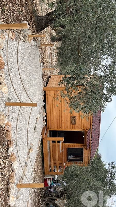 Tiny wood House 4