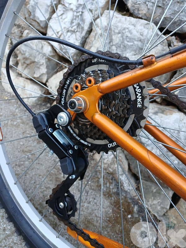 Trek bike 1