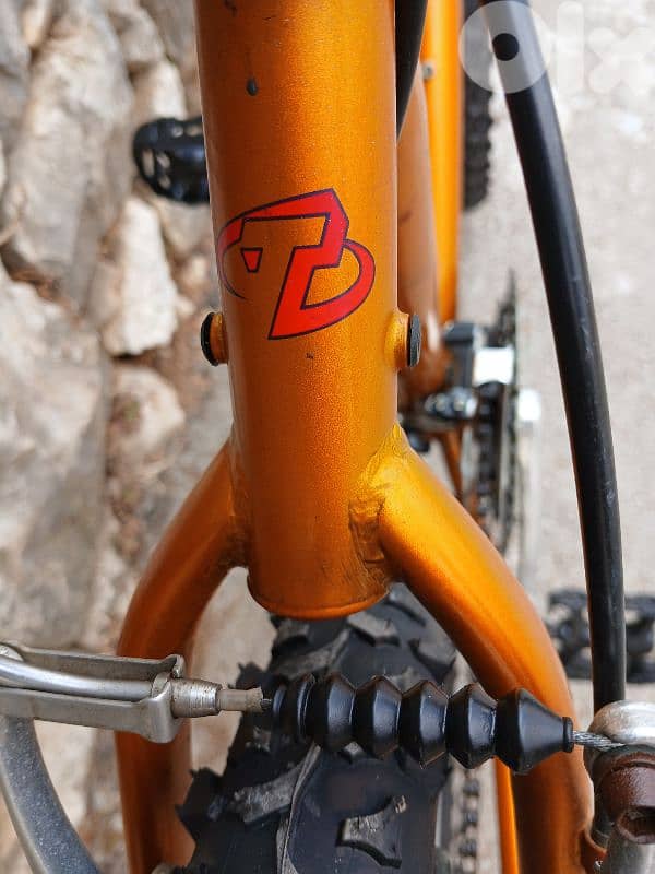 Trek bike 2