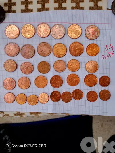 زلقا المتن