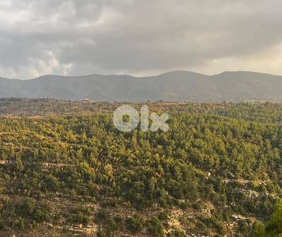 Agricultural Land for Sale – 40,000 m² in Botmeh El Shouf
