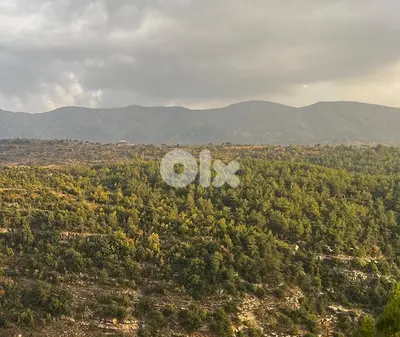 Agricultural Land for Sale – 40,000 m² in Botmeh El Shouf
