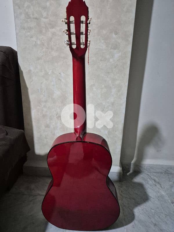 Acoustic Guitar - Musical Instruments - 116779911